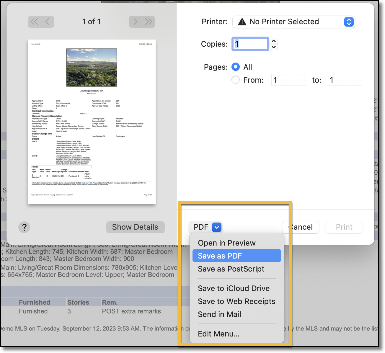 pdf-safari-1.png